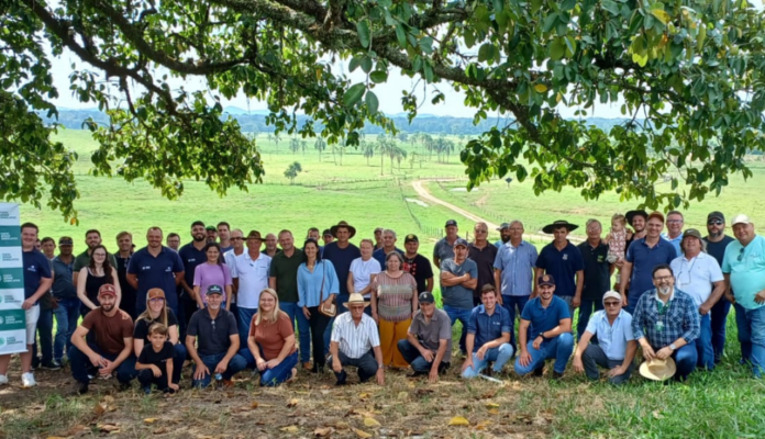 Turma da ATeG Bovinocultura de Corte encerra atividades com troca de experiências e avaliação de resultados