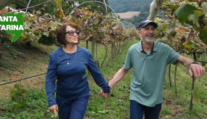 Do cuidado à prevenção: o impacto do Saúde no Campo no meio rural