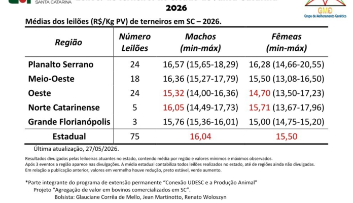 Levantamento aponta estabilização dos preços de terneiros em duas regiões e queda em outras duas
