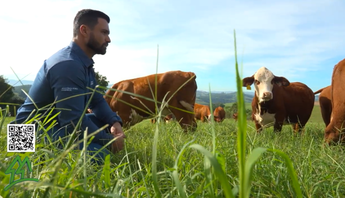 Saiba como ATeG pode transformar os resultados de uma propriedade rural