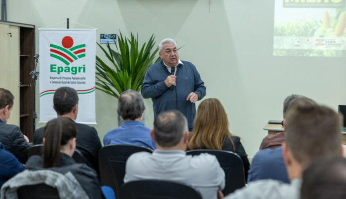 Produção e mercado do milho em SC são debatidos durante lançamento do Projeto Sementes de Milho 2026