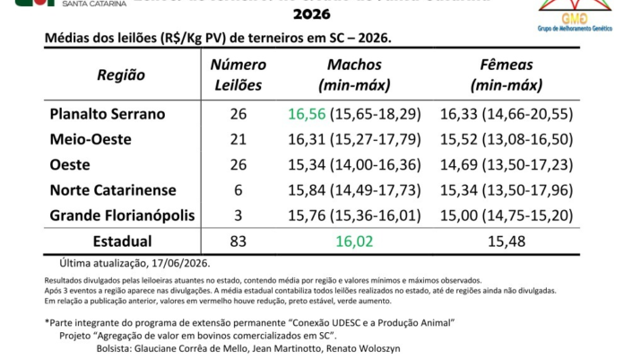 Leilões de terneiros e terneiras em SC chegam a 83 eventos no primeiro semestre