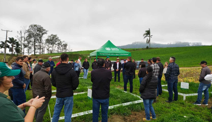 Evento técnico reúne produtores para discutir manejo de pastagens de inverno em Braço do Norte