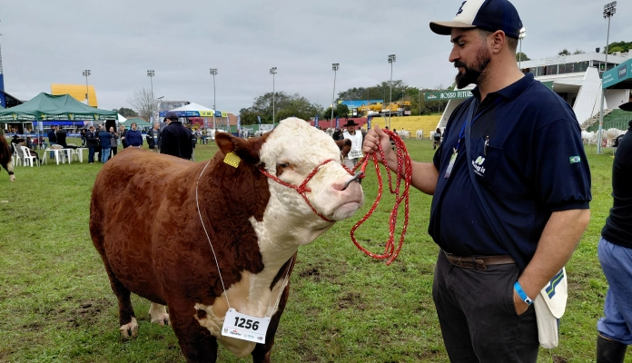 Santa Catarina se destaca na Expointer 2026 com 65 animais premiados