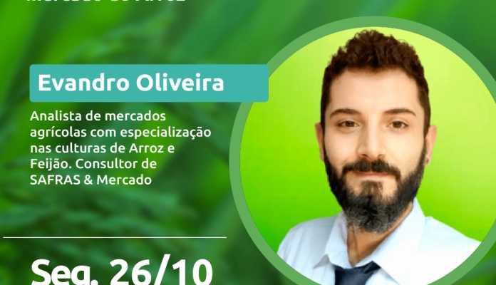 Sistema FAESC/SENAR e Safras & Mercado promovem webinar gratuito sobre o mercado do arroz