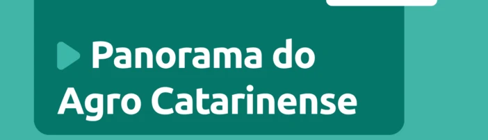 Panorama do Agro - Semana de 27 de Julho a 31 de Julho