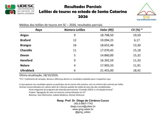 /storage/imagem-principal/02_2026-10-29-180531_ijih.jpeg