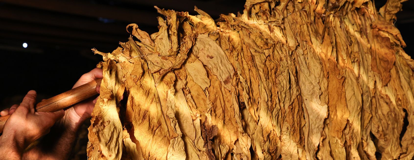 Preço do tabaco: entidades recebem JTI