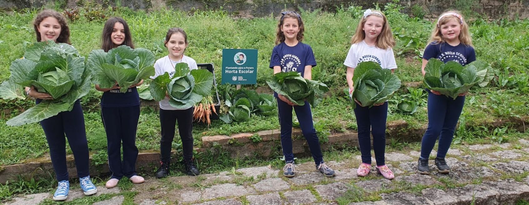 Projeto “Plantando para o futuro” rende bons frutos em Santa Catarina