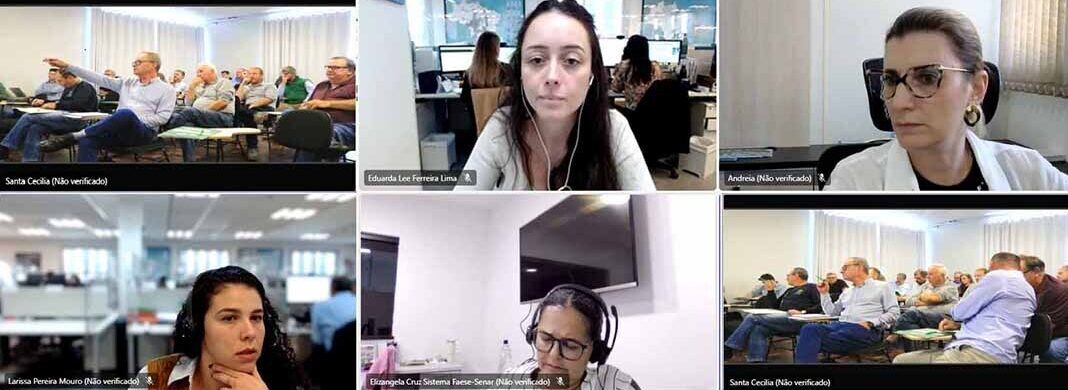 Projeto Campo Futuro levanta custos de produção da cadeia produtiva de pinus em Santa Cecília