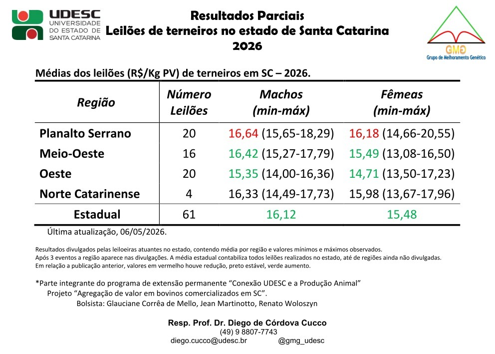 Leilões de terneiros seguem com resultados positivos e médias estáveis em SC
